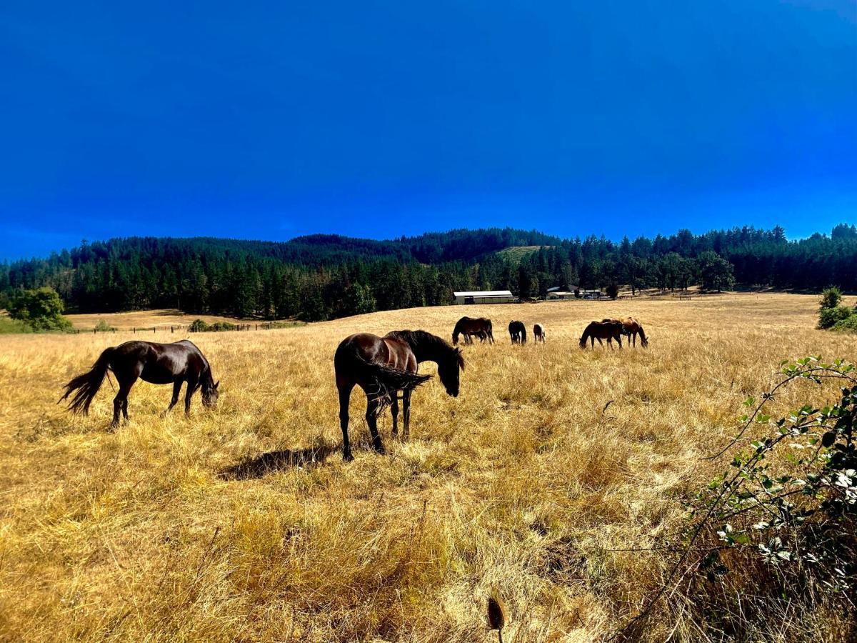 The Ranch By Oyo I-5