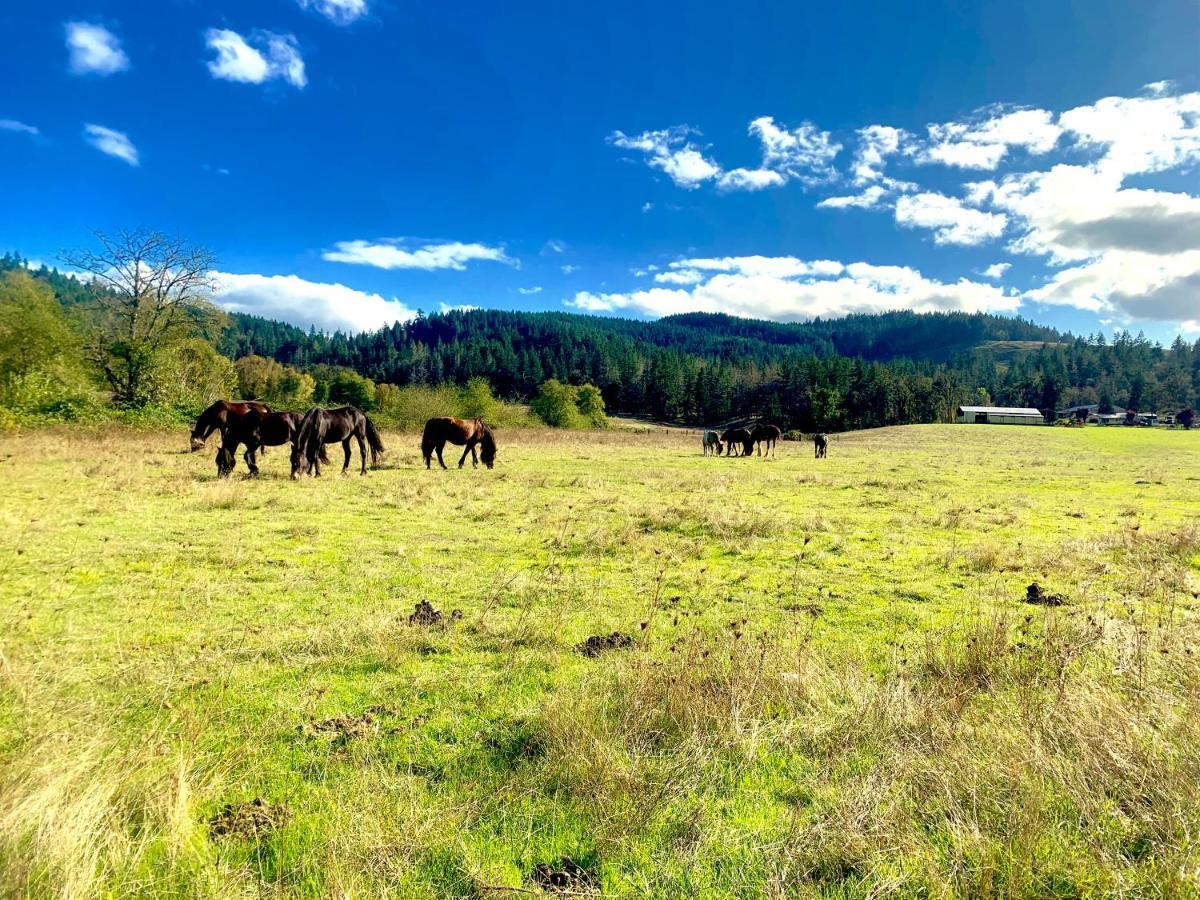 Hotel The Ranch By Oyo I-5